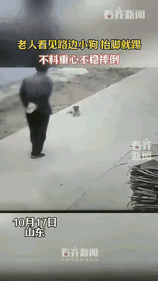 想不到啊，
因果报应来的这么快，
一老人在路上走，
无缘无故就去替旁边的小狗，