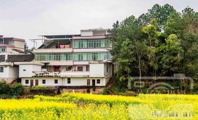 没什么好叫屈的，老农民领取的200块养老金符合事实和历史。
现在绝大多数农民参加