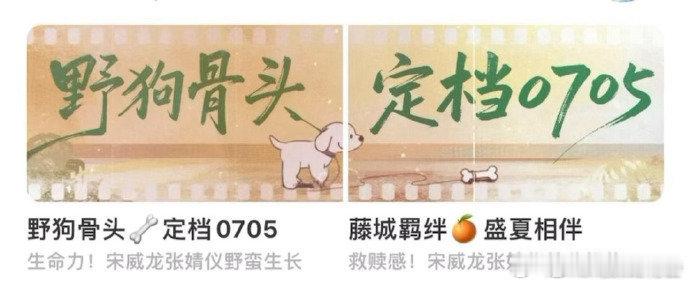 我对野狗骨头真有感觉野狗骨头满心满眼都是野狗骨头，拿出全部热忱全力托举，不会吝啬
