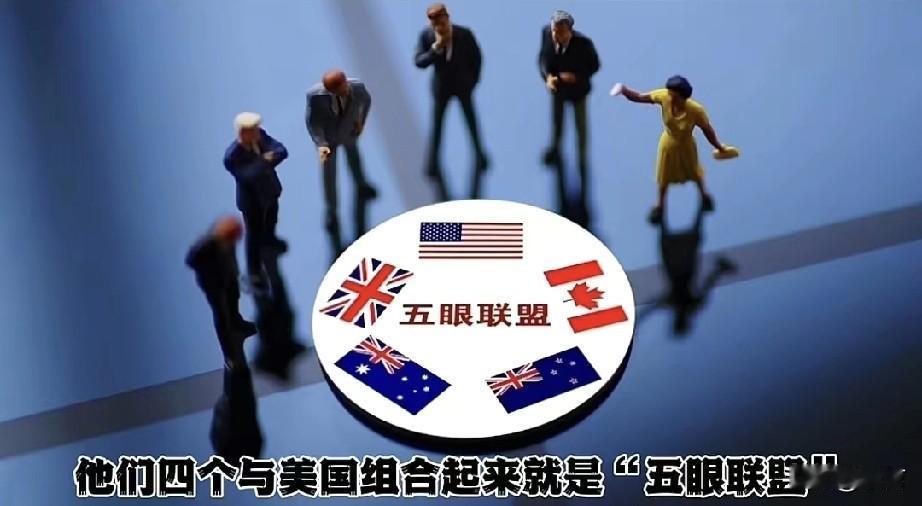 美国的盟友远近亲疏被分为几梯队

第一梯队：英国、加拿大、澳大利亚、新西兰

共