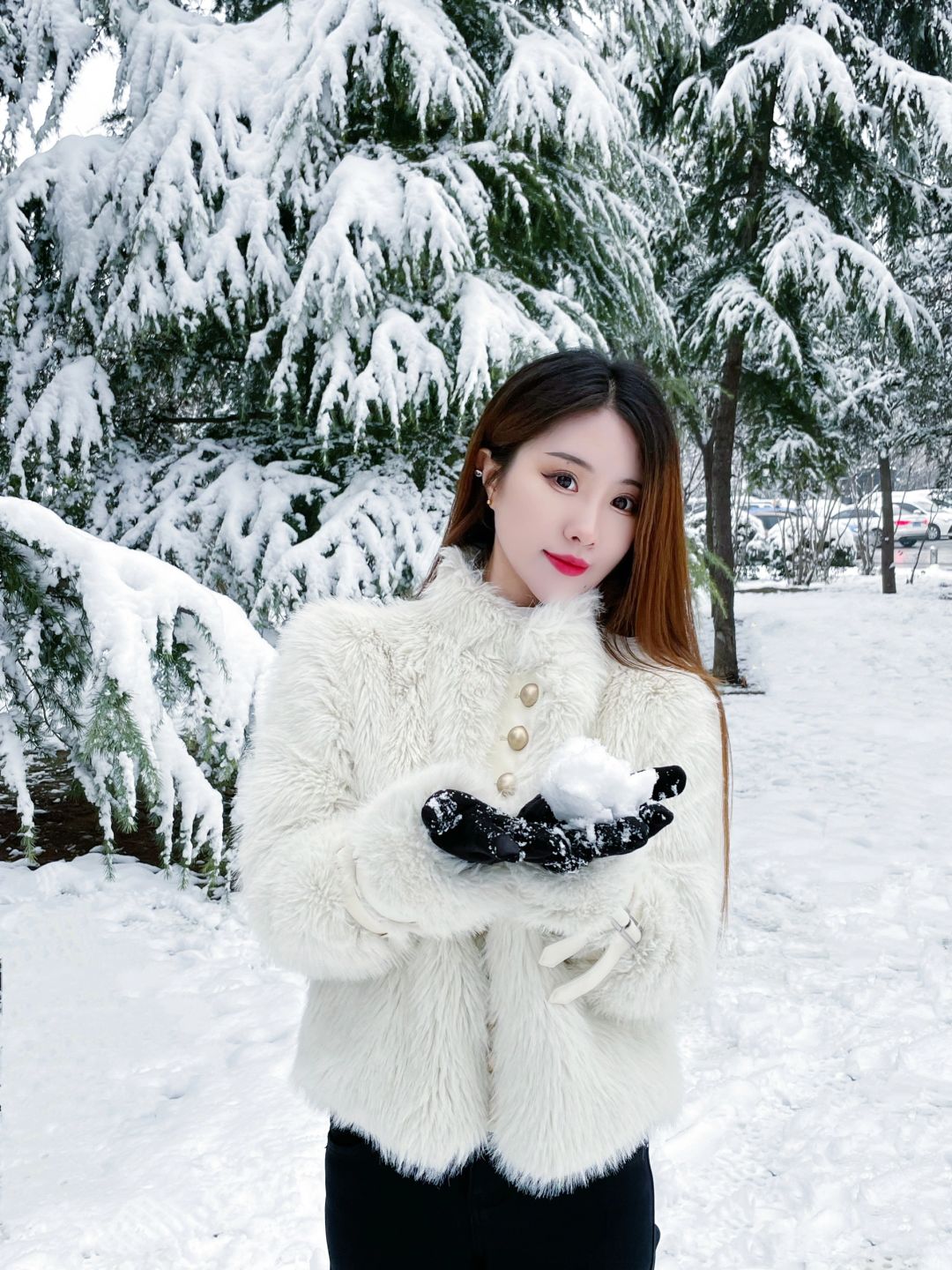 洛阳又下雪喽❄️