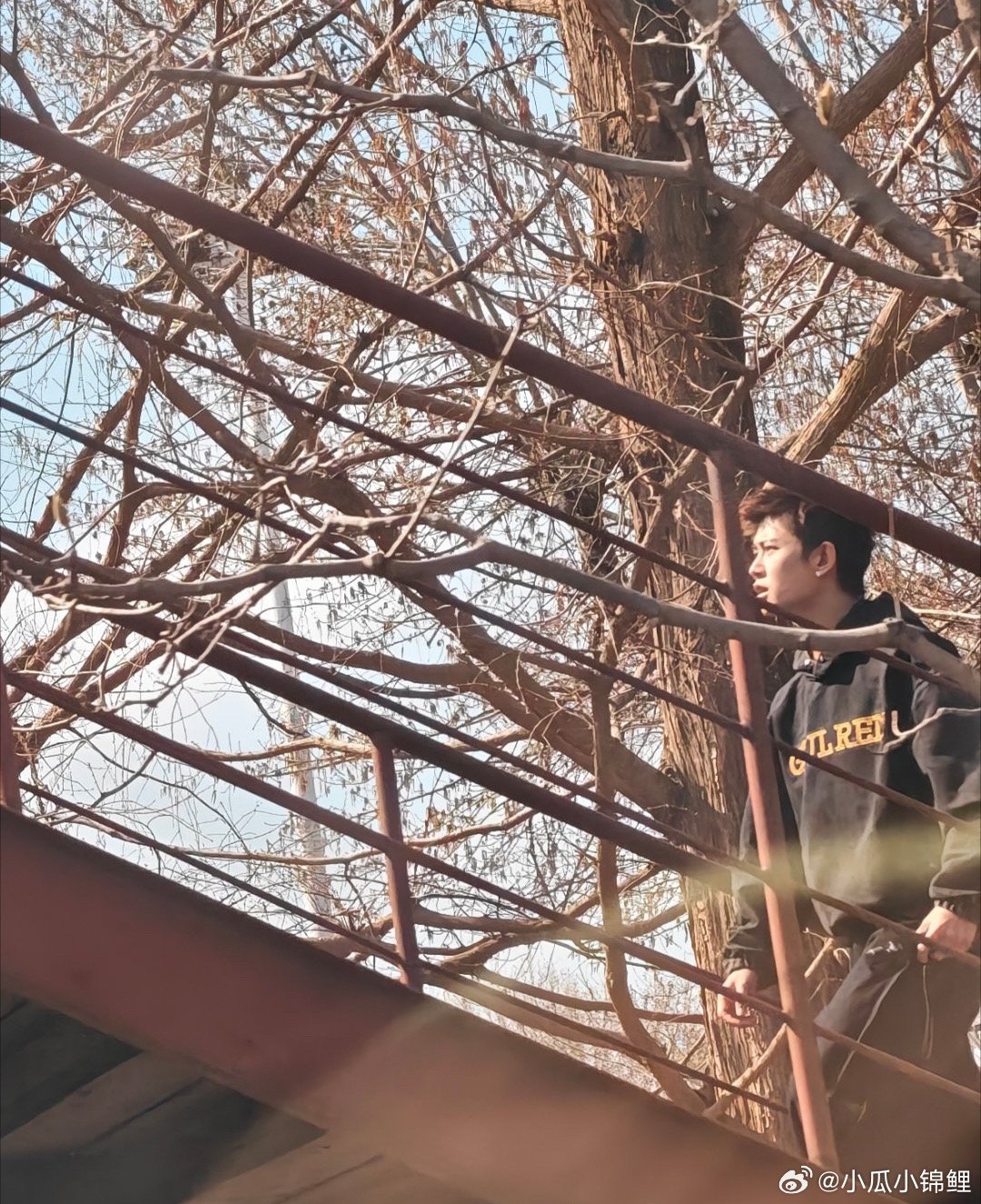 抓住一个任嘉伦嘉人快去偶遇吧 