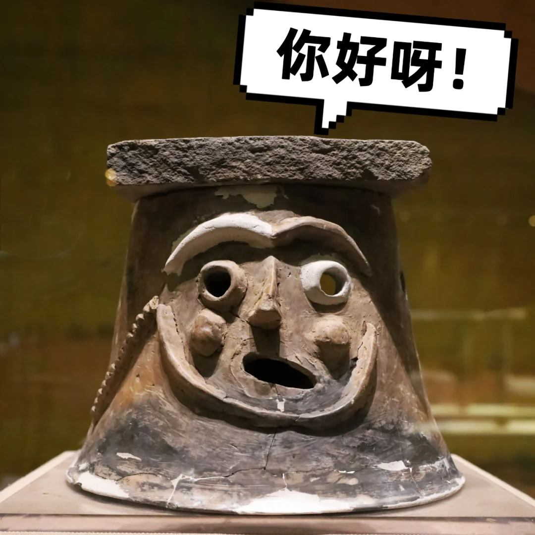 哟，这是哪家的小可爱呀？