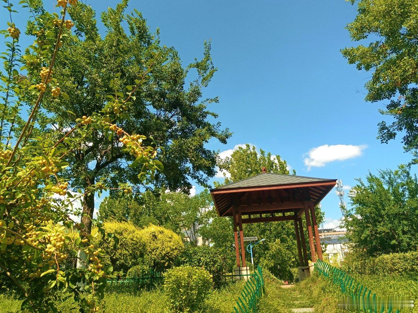 手机摄影[超话] 看云的季节风景也魅力无穷 ​​​