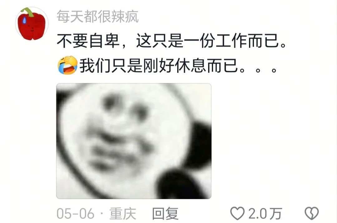 “很荣幸盛装出席了你的日常”，这句话好温暖 