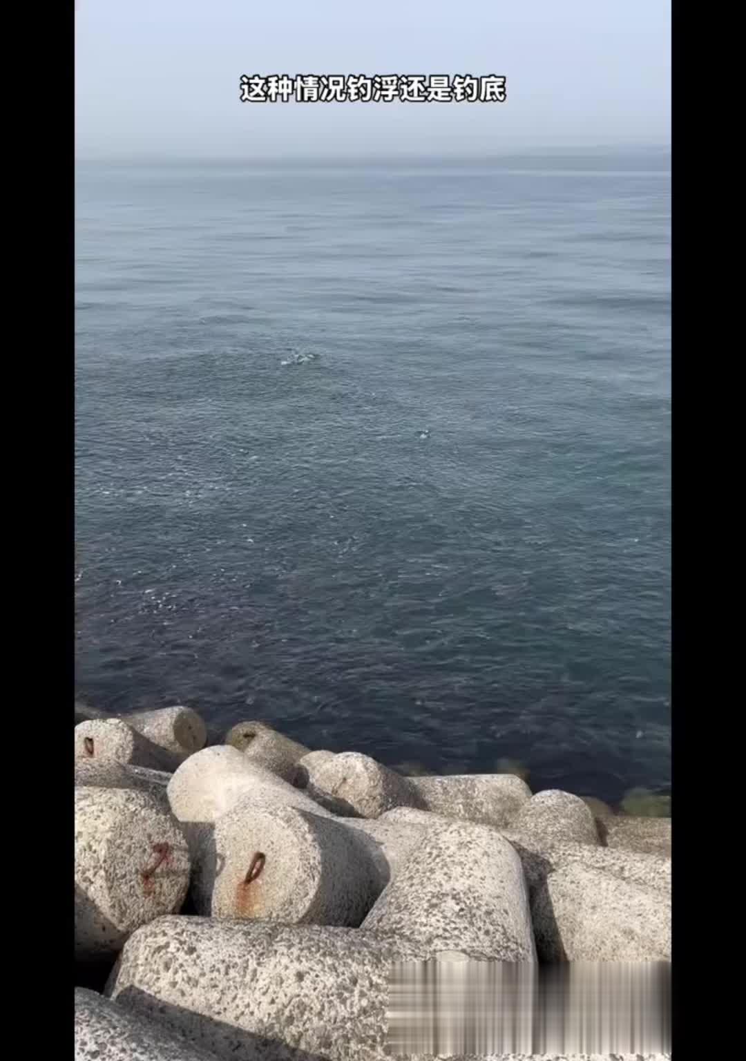 户外海钓