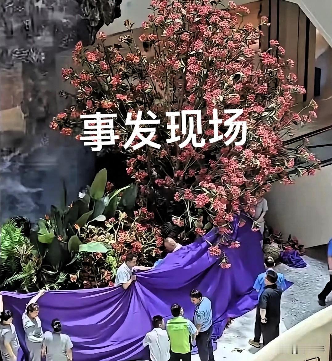 西安赛格商场商户坠亡这事儿，真的让人心里堵得慌！一个退伍老兵，从摆地摊一步步把生
