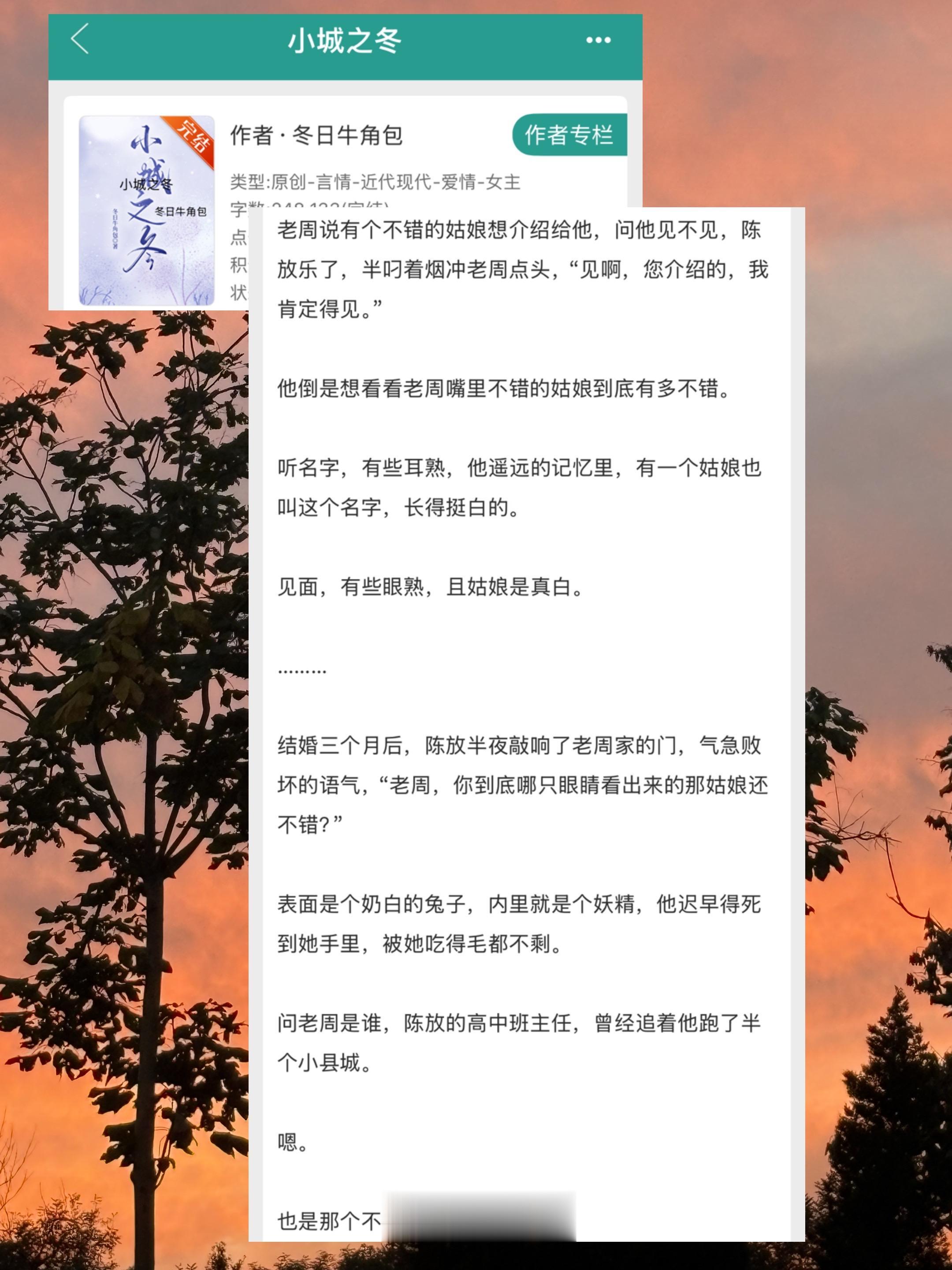 小说推荐 宝藏小说 言情小说 推书 言情