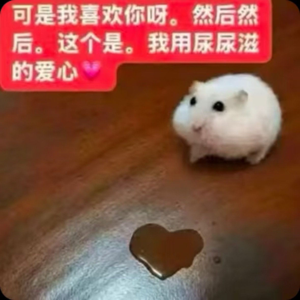 分享图片 