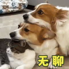 曝已婚男明星出轨女演员总结一下，疫情之前的事情，男演员微博粉丝8位数，隐婚生子还