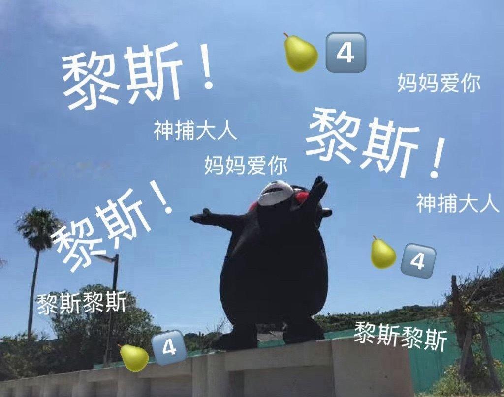 周二如约而至，搬砖模式持续在线。告别周一的适应期，专心投入日常工作。疲惫难免时常