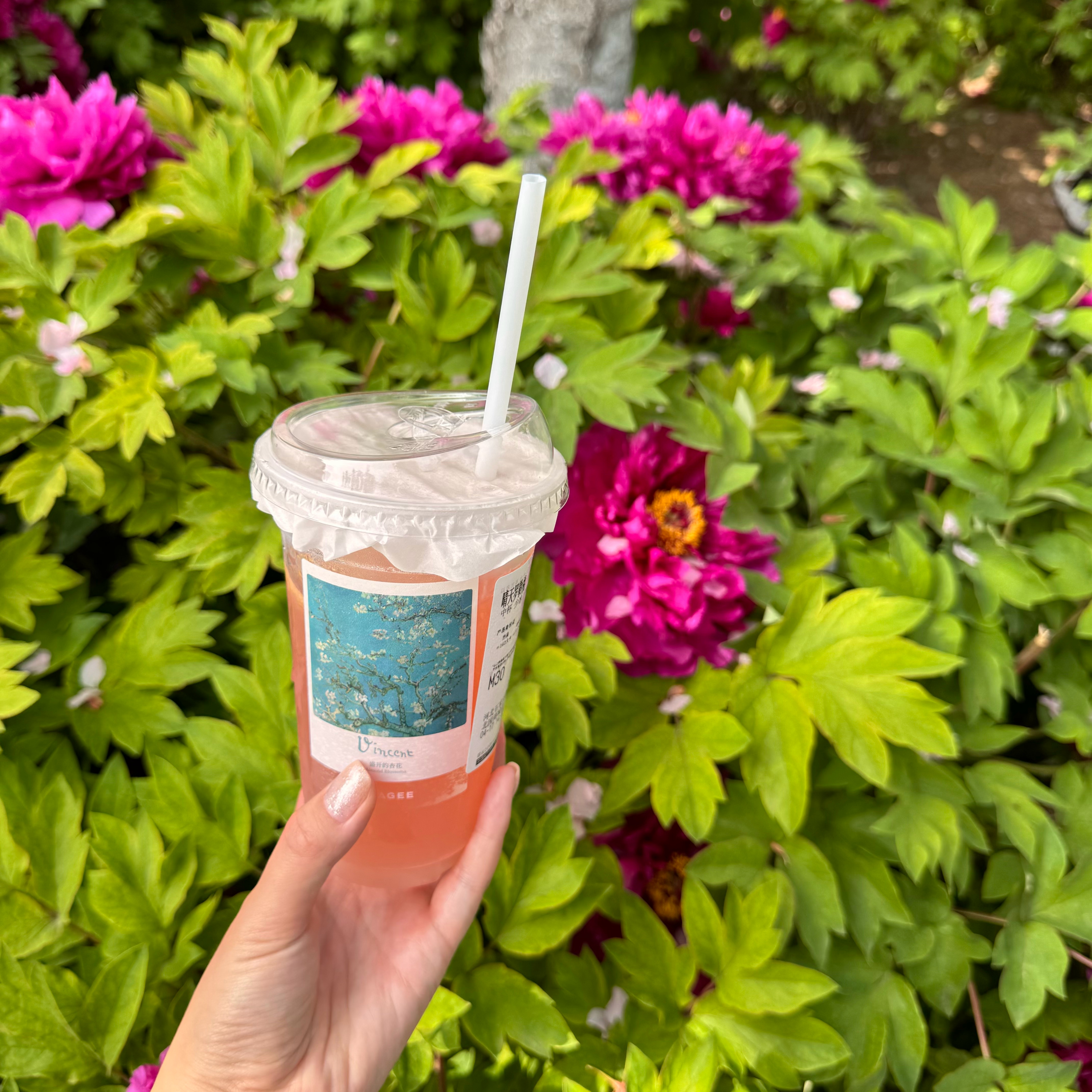 晴天罗勒桃好喝！ 