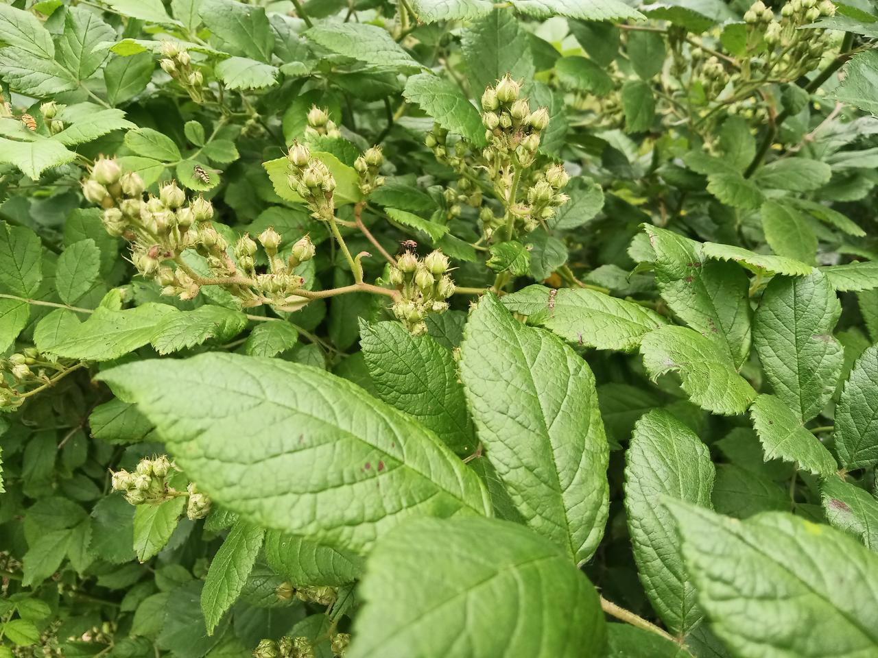 Al的出现，对于教育以及传统文化是一个毁灭性的打击。对于教育以及传统文化是一个严
