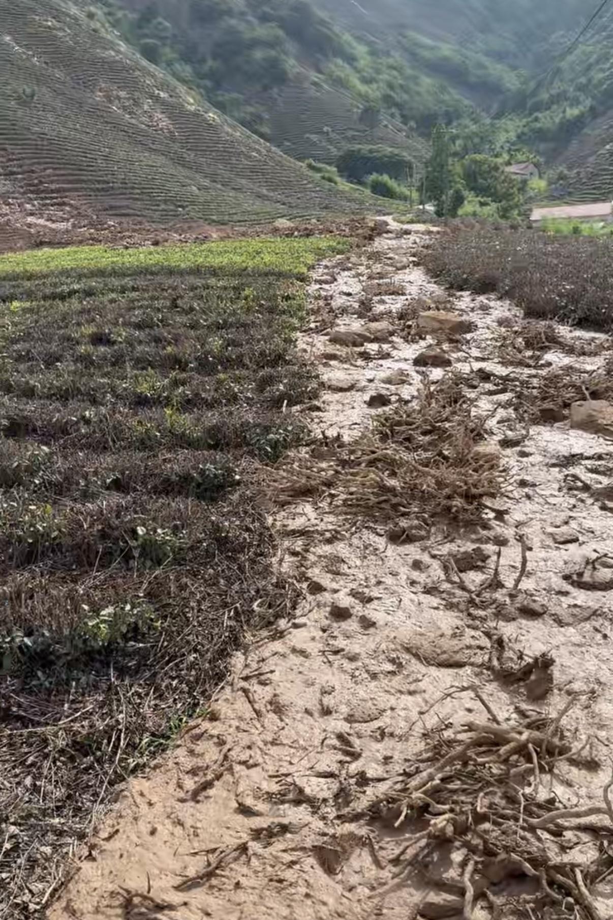 一场大雨，茶园没了。
紧挨着安吉的长兴和平，昨天一场大雨，很多茶园山体滑坡，多年