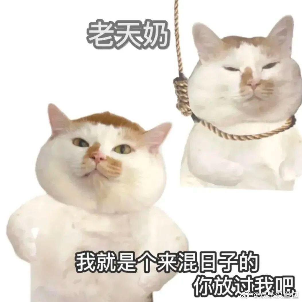 最实用的服装设计出现了 孕妇裤腰是可调节魔术贴，从孕早期穿到孕晚期，肚子再大也不