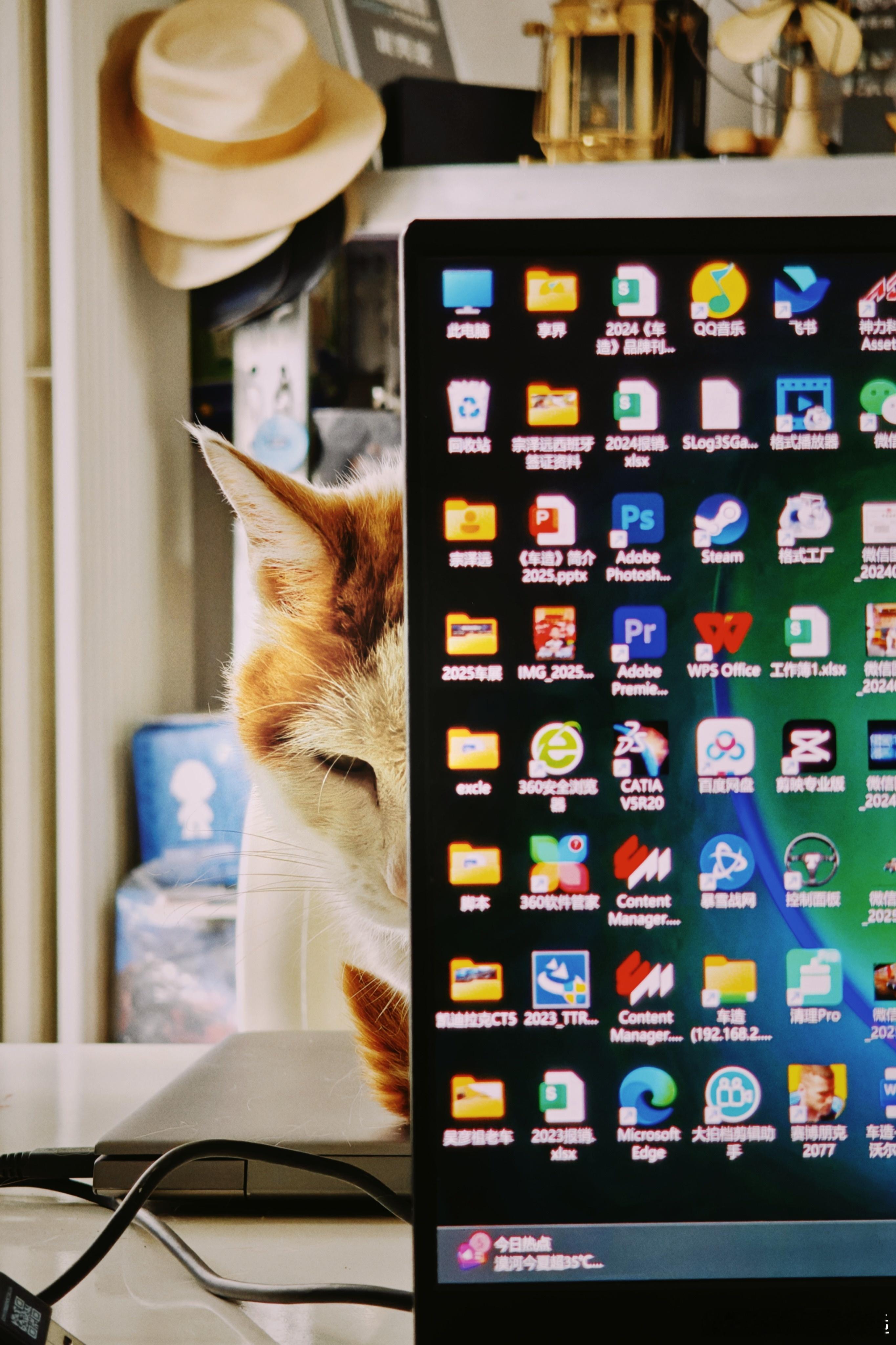 每天干活大哥猫都在边上监工[允悲]你们的小猫也会这样吗? ​​​