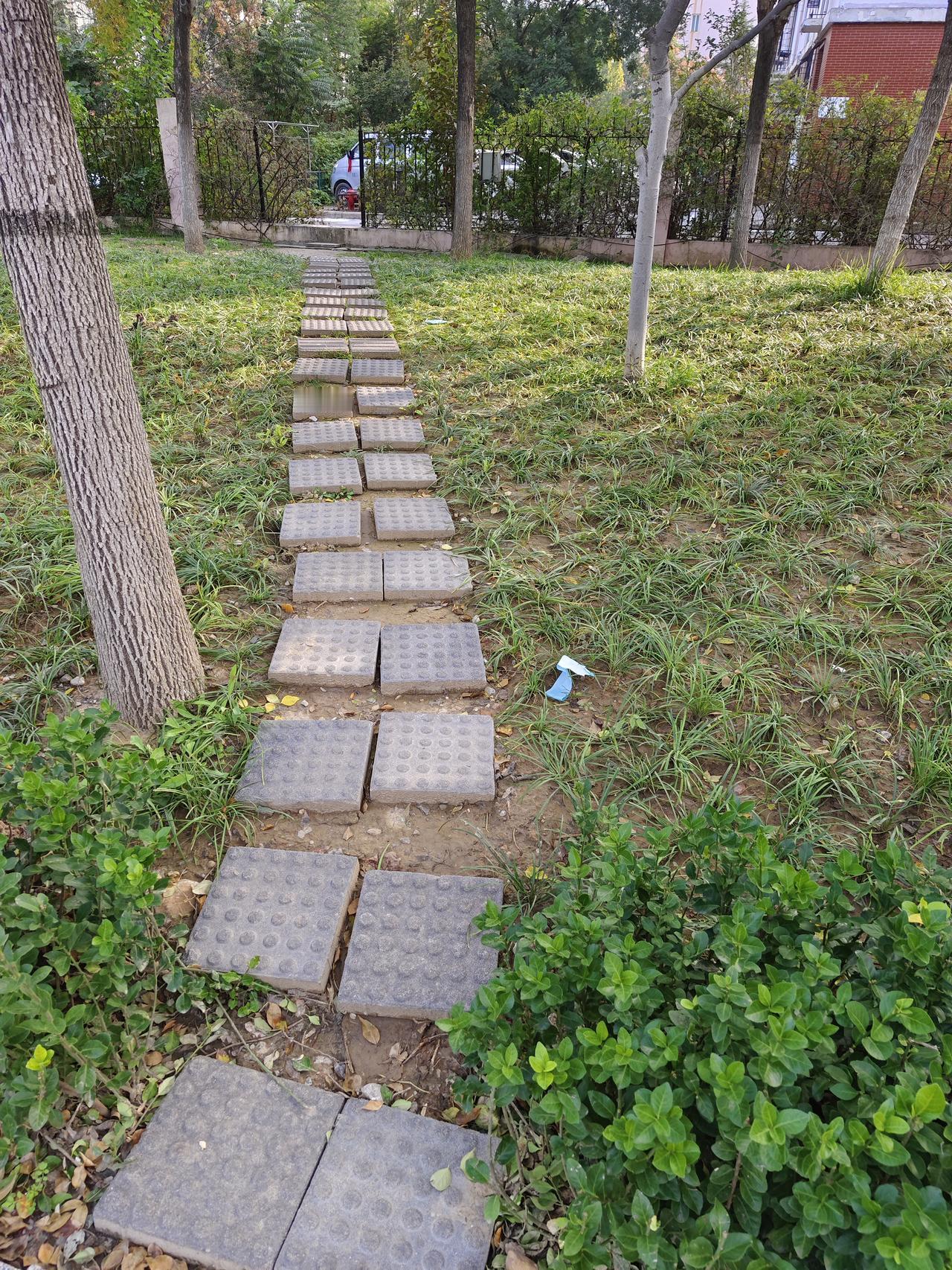 管公事的要以公德之心管公事，没了公德之心，指责百家姓不讲公德，铁栅栏小草哭了，堵