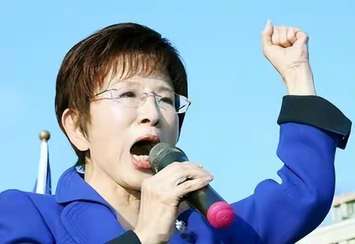 台海最新动态 👉🏾洪秀柱撕破“台独”遮羞布！台北桃园双线出击，台湾未来藏不住