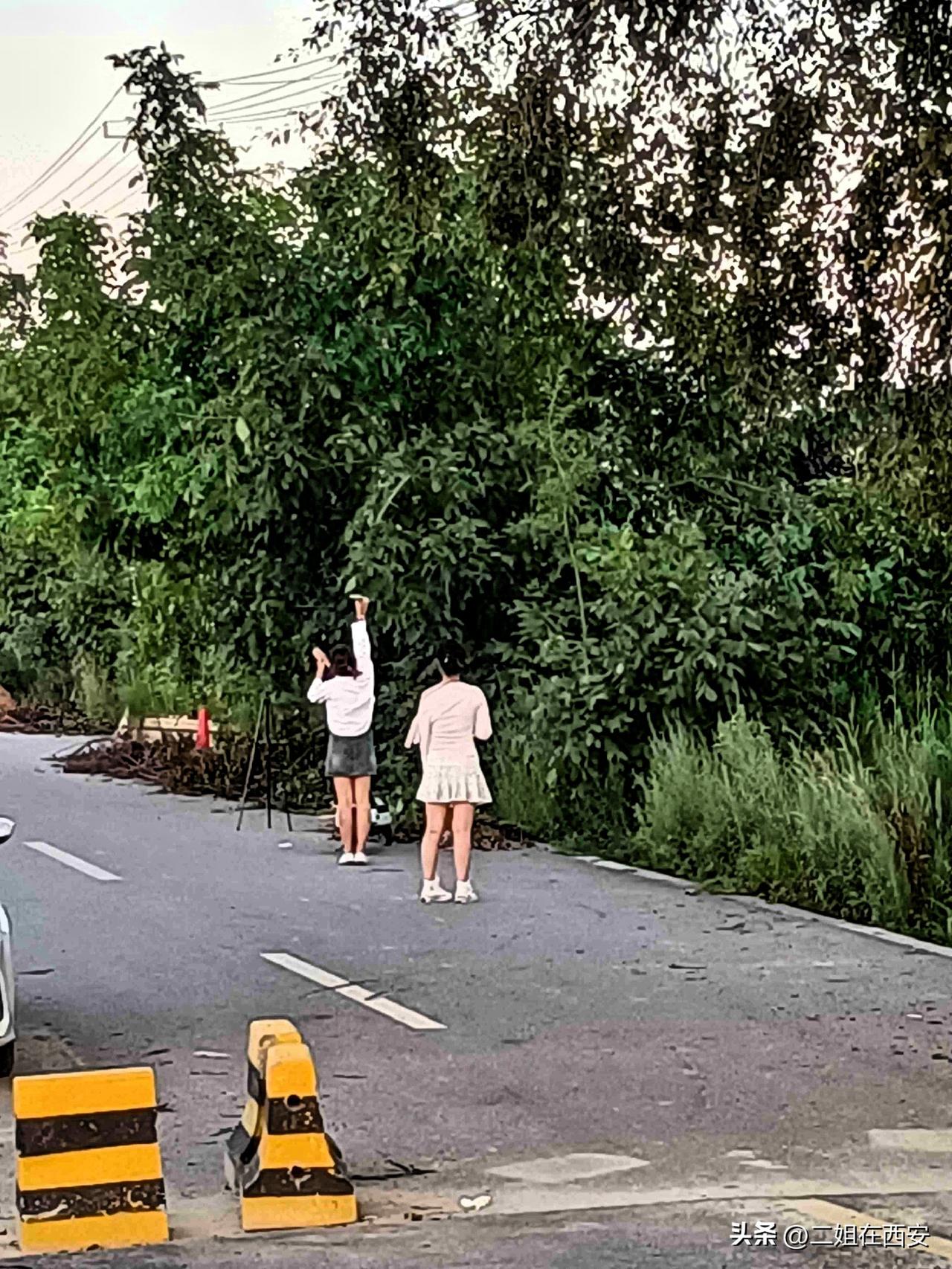 城里姑娘真无聊，露着长腿露着肩，一个支架，两个人，搔姿弄首扭半天，田间地头，拍农