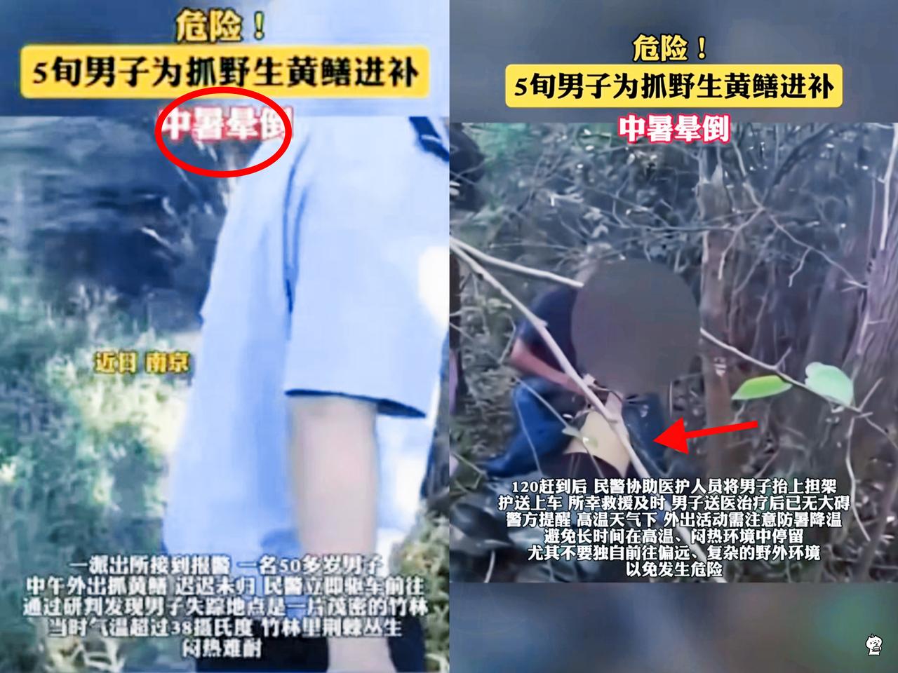 真是为吃野生黄鳝甲鱼，差点把命丢了！近日江苏南京一个50多岁的男子为了抓野生甲鱼