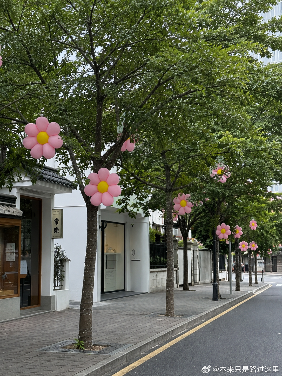 236 路上看见的花花街～ 
