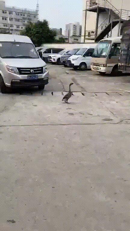 这演技我给100分