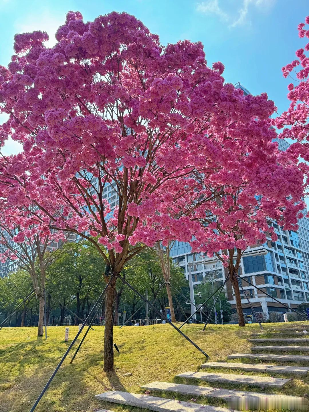 做股权设计的有咨询公司的讲师，有的是股权律师咨询讲师天天讲课，口才非常好，律师比