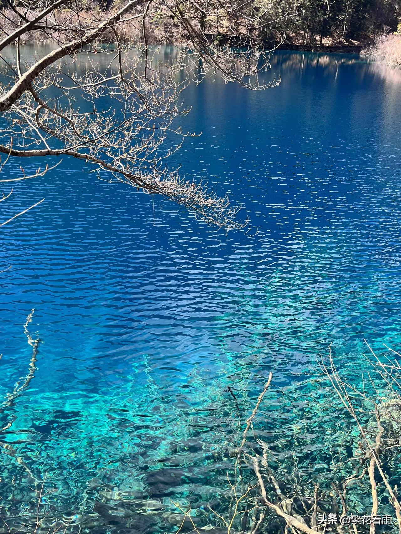最能治愈人心的，便是这个世间的风景，将心放任于天地间，总会有那么一天，你也会放下