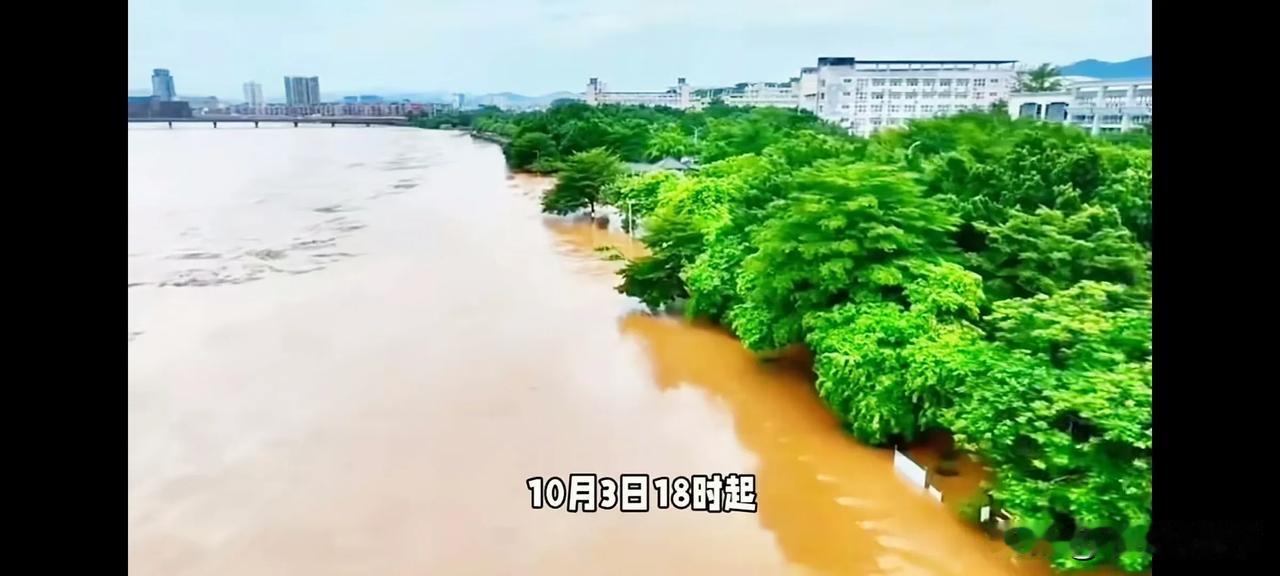 紧急！广西遭遇百年一遇洪水，邕江超警3米破历史纪录，317人紧急转移，这些地方仍