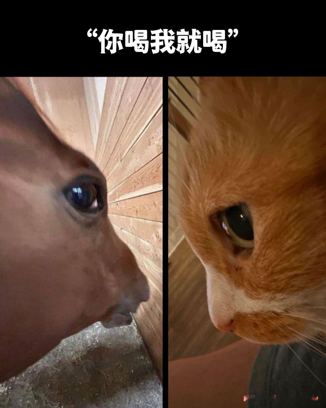 me_irl:meme