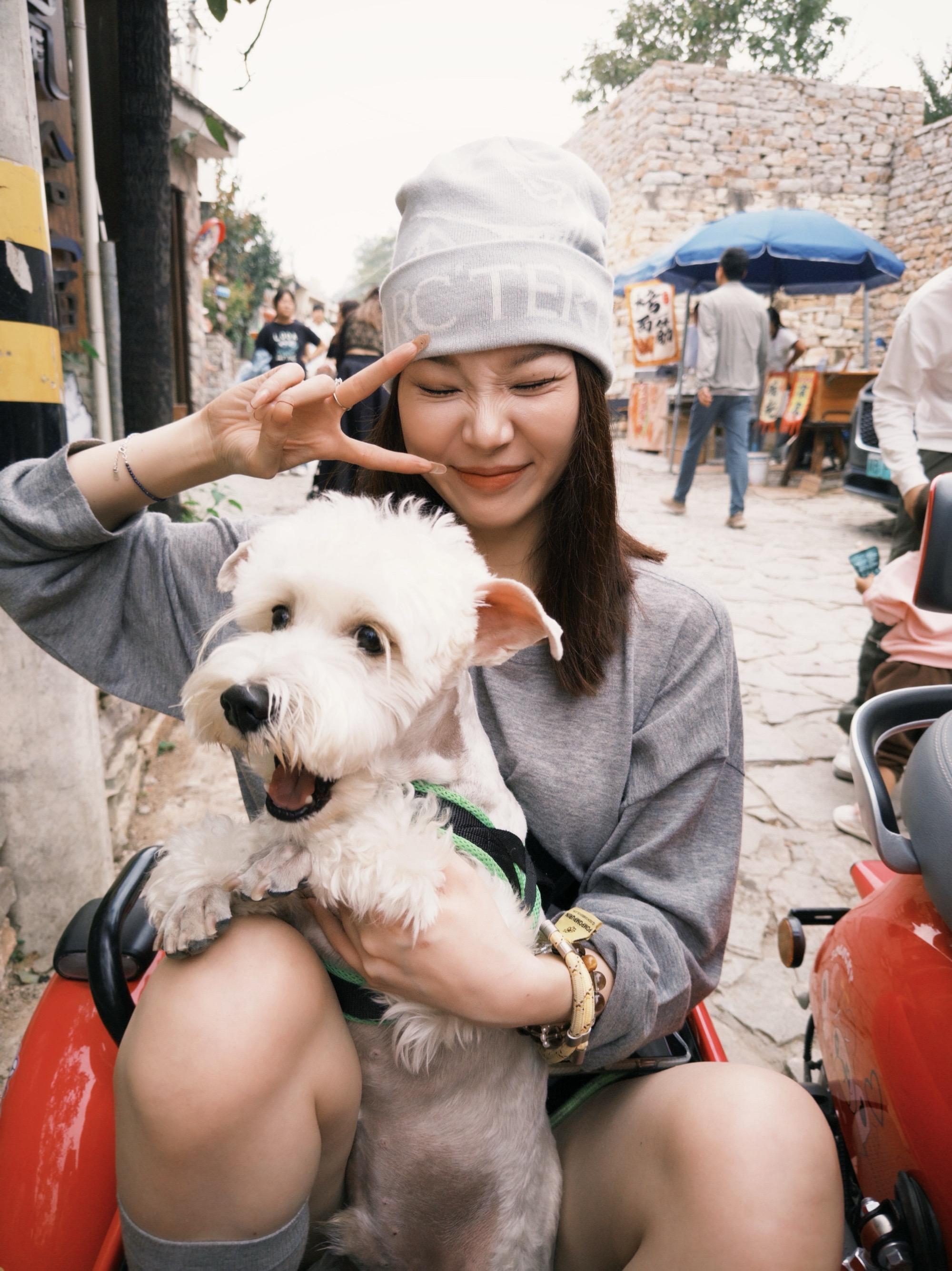 小狗我又出门兜风啦。