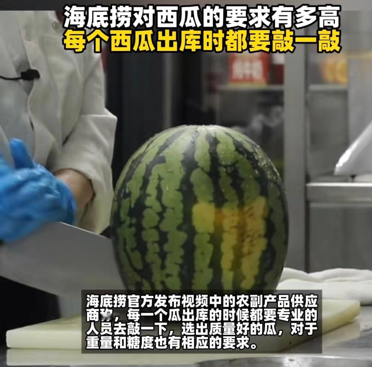 海底捞对西瓜的要求有多高 海底捞对西瓜的讲究真是让人刮目相看，为了保证品质，连挑