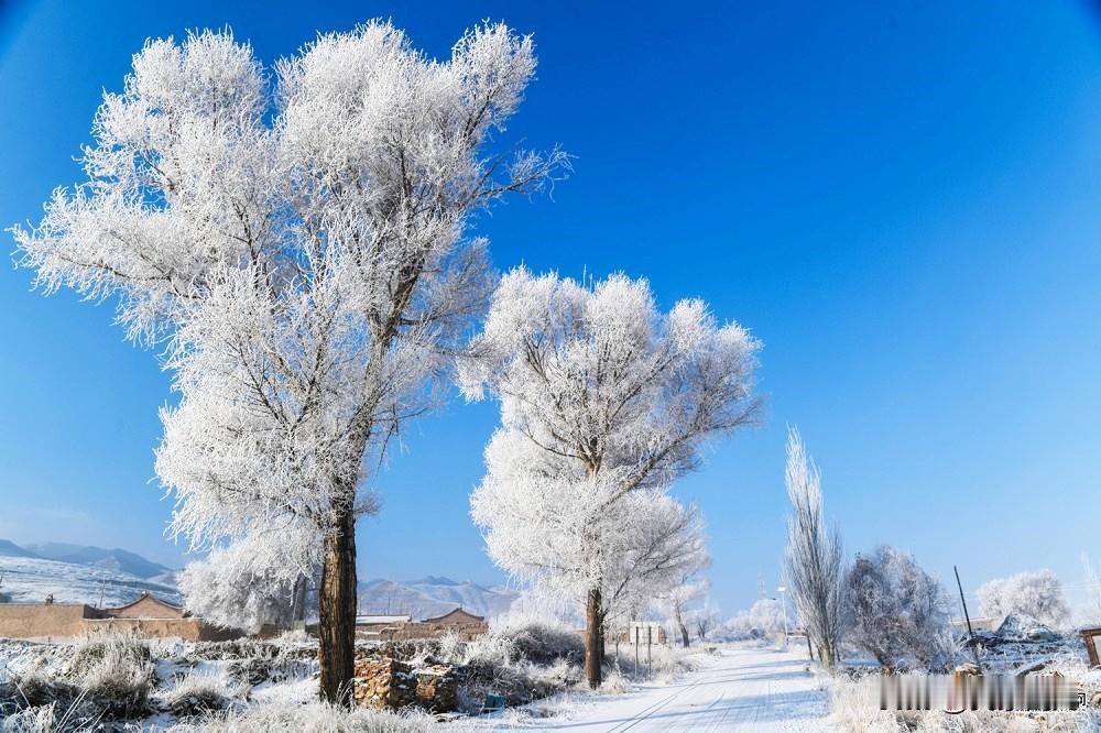 摄影爱好者的镜头下，阳光穿透雾凇的瞬间璀璨夺目；村民的烟锅里，袅袅炊烟与云雾交融