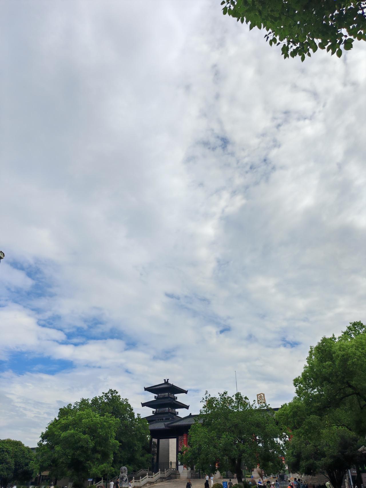 昨天去马鞍山森林公园紫薇园看绣球花，抬头一看天空那湛蓝湛蓝的颜色，再到瞅瞅身边的