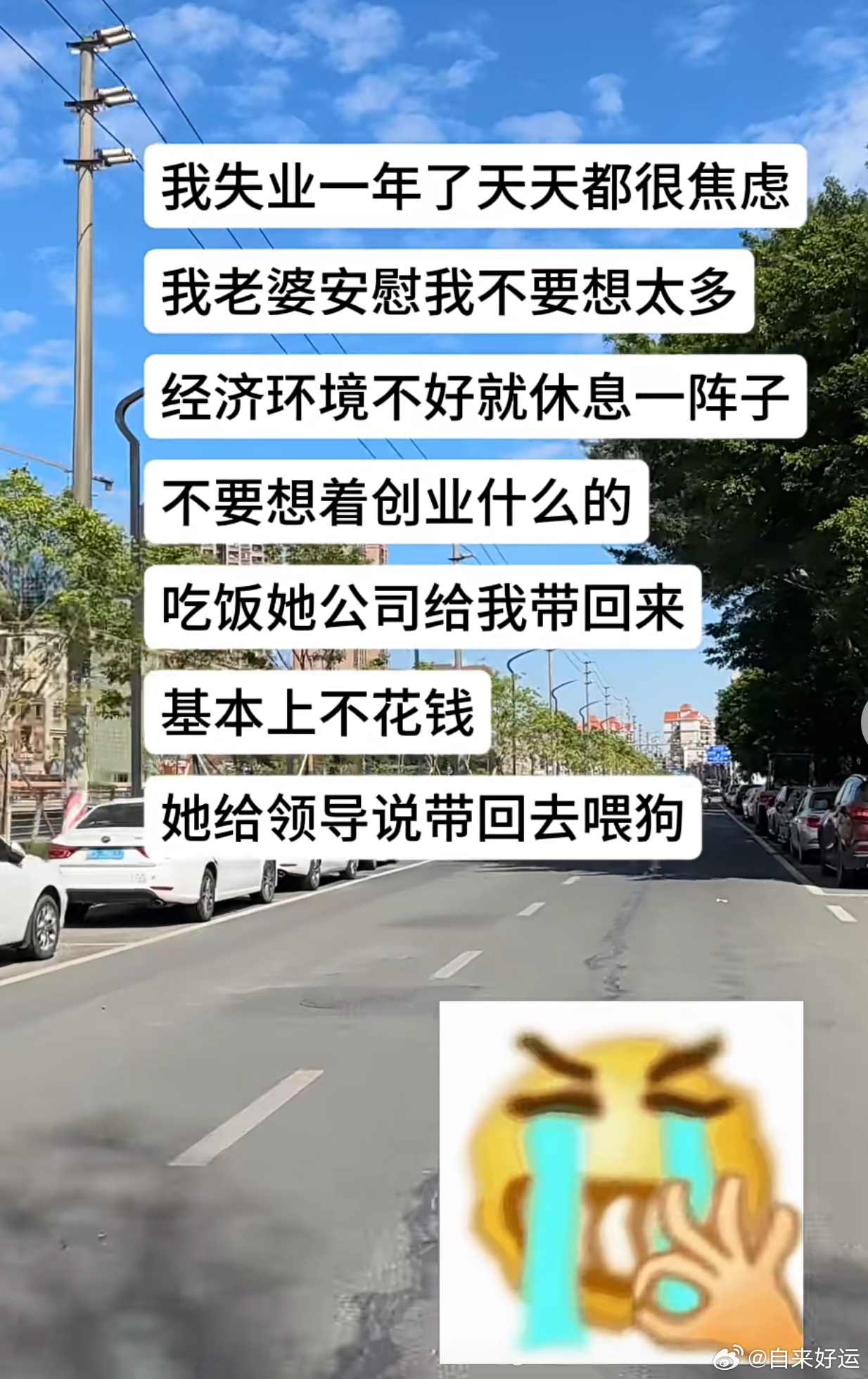 好多人都想过上“:狗"的生活！来自过来人的一些经验，过了今天你们的待遇会有天翻地