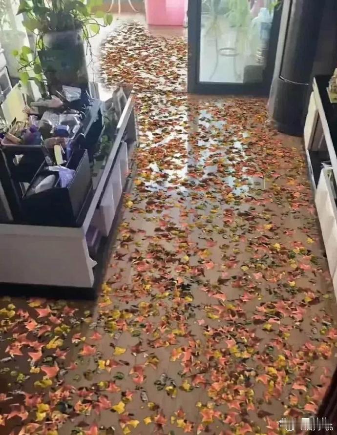 小舅子刚搬进新家，叫我去参观，一进门我以为到了垃圾场了，仔细一看竟然是地板，看起