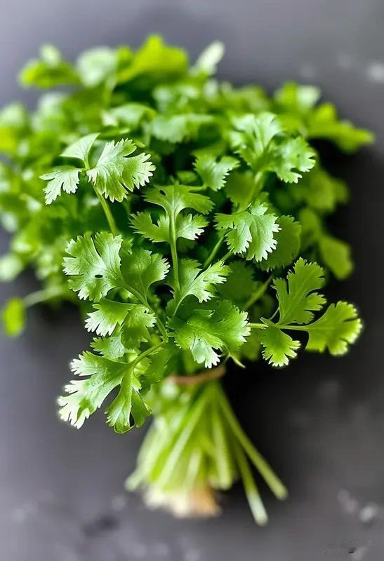 香菜和菠菜秋天啥时候种好呢？
分开来说，两种蔬菜的最佳播种时间不一样，新手菜友别