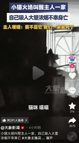 万物有灵！深圳罗湖区，凌晨4点时，一住宅突然发生火灾，家里的宠物猫不断狂叫，唤醒