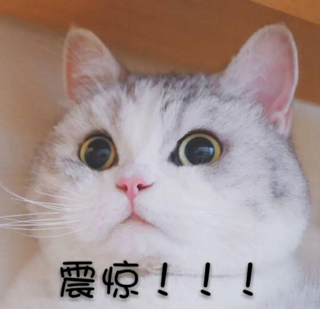 郁闷不？真的很郁闷！被人眼睁睁戏耍了一番，虽然你明明知道丫挺的没安好心、骗我的。