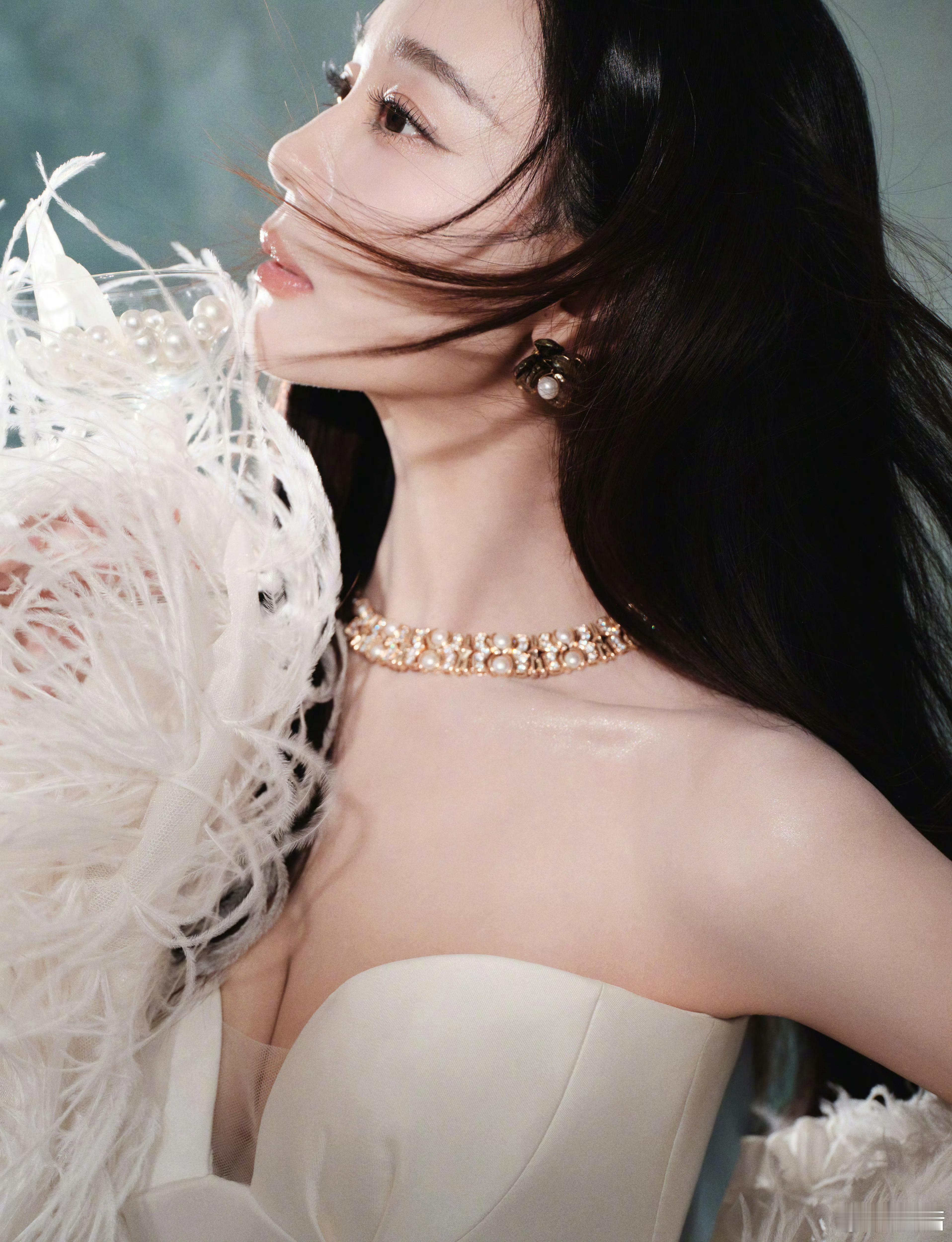 海陆腾讯视频金鹅荣誉