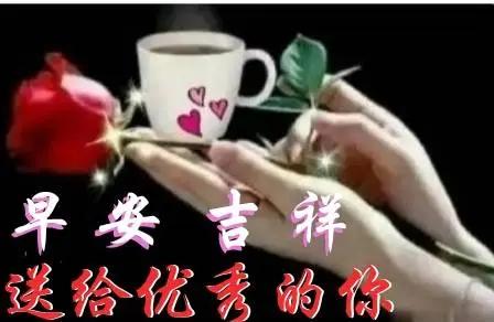 早安吉祥，精彩视频，完播支持[赞][赞]
微头条
友友《生活的夲意是平淡且知足》