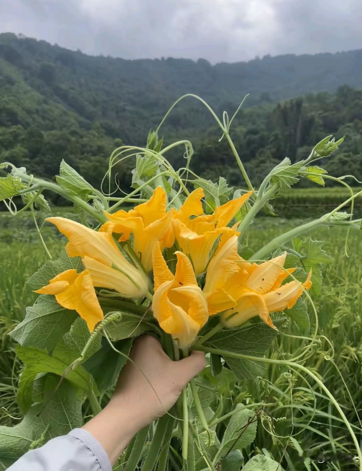 这道菜要怎么做才好吃？