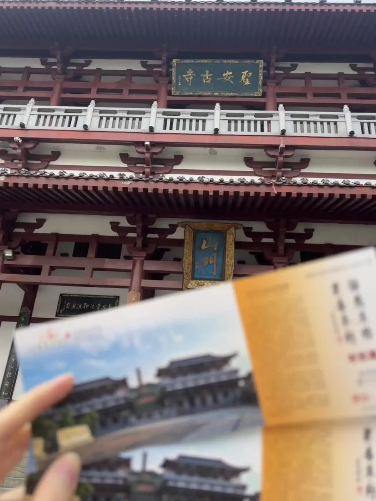 只愿平安喜乐🍁