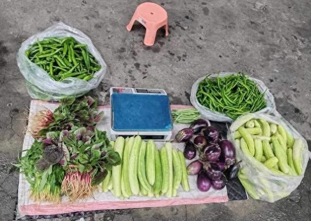 中戏毕业的"霸总"，现在在集市卖豆芽：许鹏的转型比"落魄"复杂