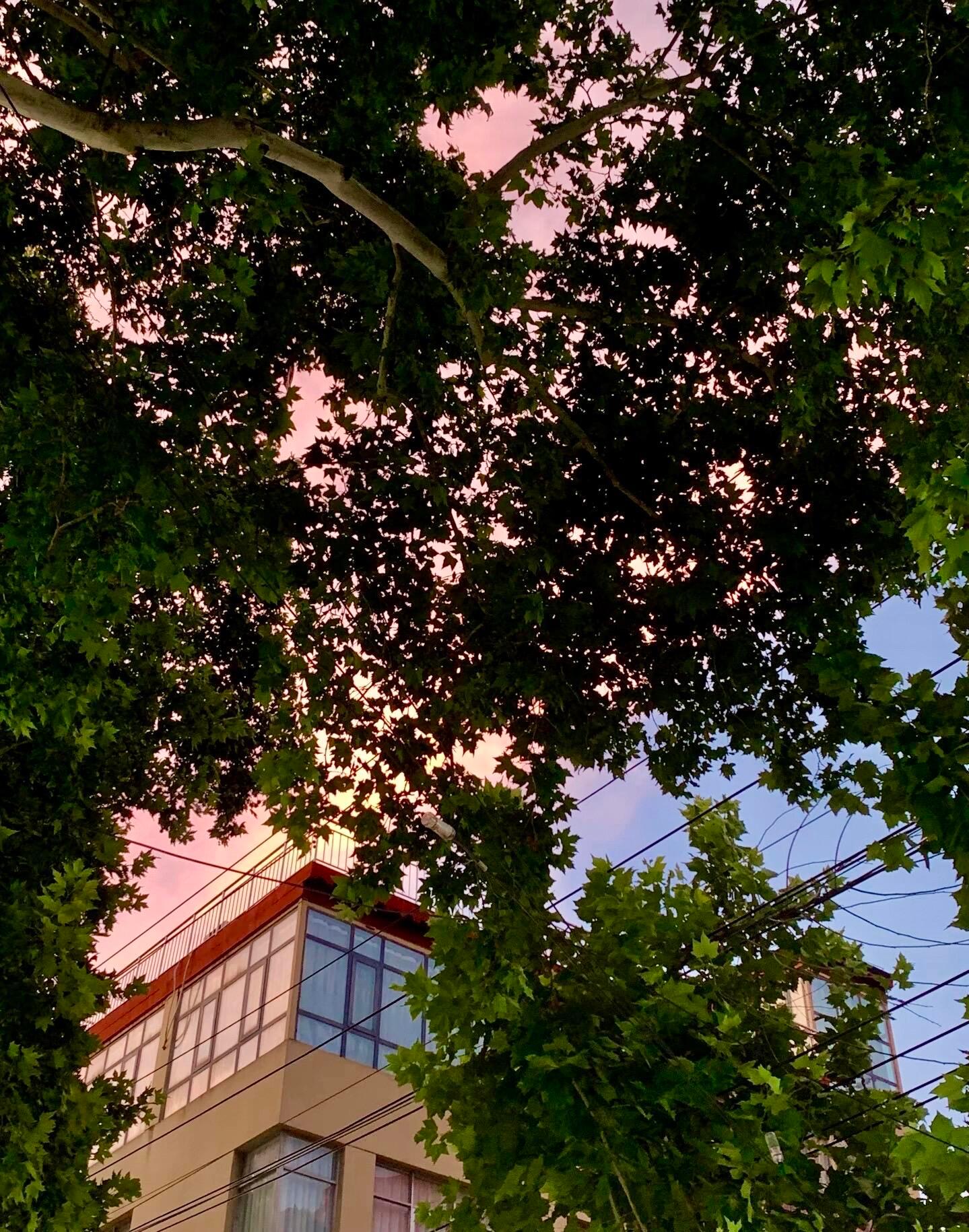 打开生活的天窗 阳光自会照进来☀ 