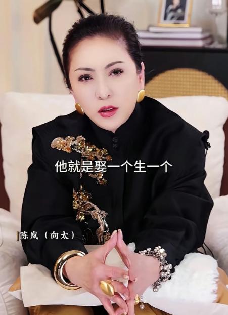 向太的一番言论引发了不少关注。她提到：“香港有一个富豪，就是娶一个生一个，然后觉