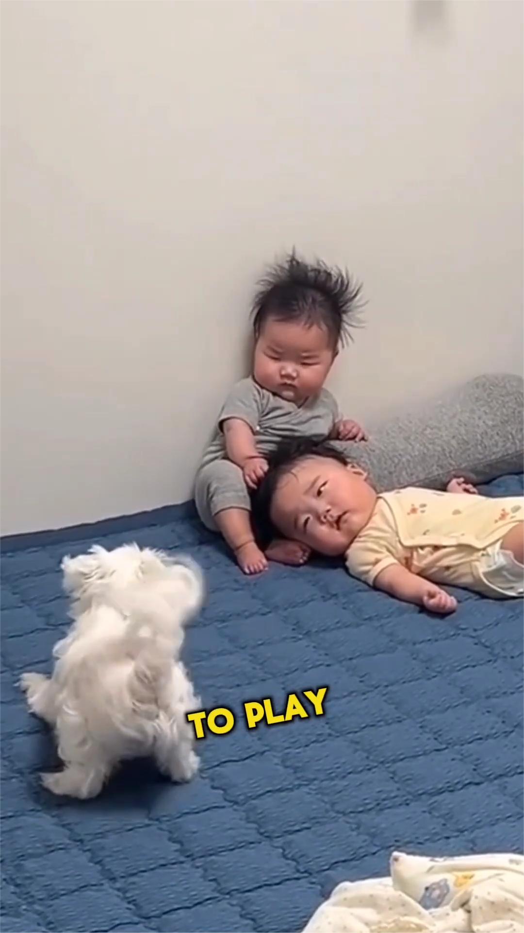 TWIN BABIES WOKE UP FROM THEIR THIS MOM 