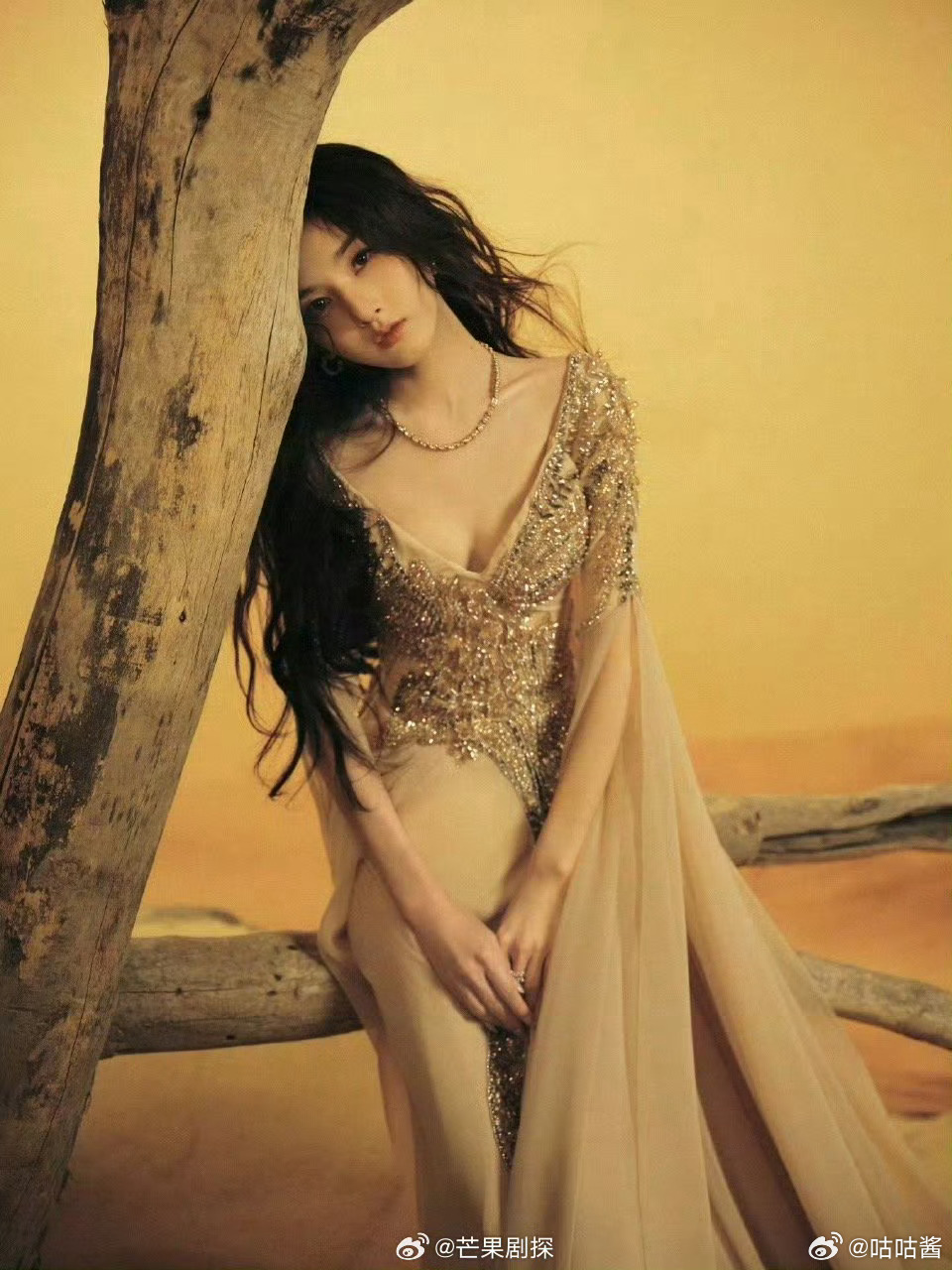 宋祖儿在枯木中盛开宋祖儿一套比一套惊艳静谧而强烈的美 