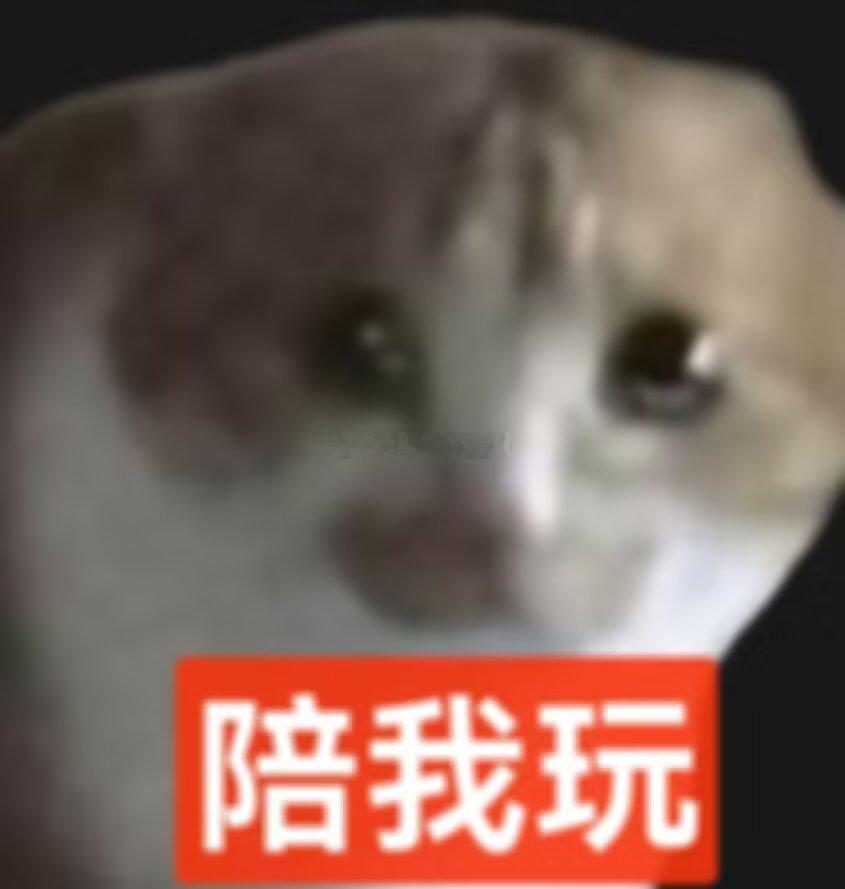 我每天对亲友： 