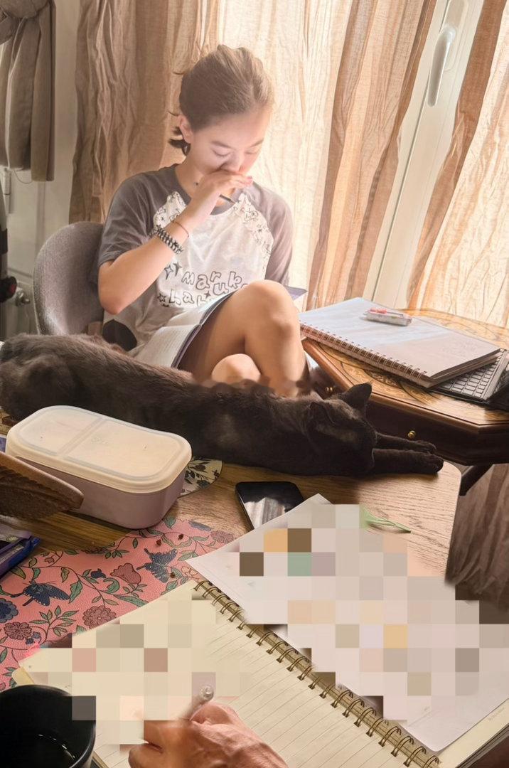 全家一起写东西就我一人到处巡视还一位趴桌子睡觉 